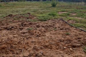 Trattativa riservata