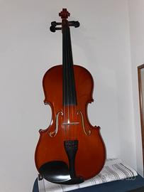 Violino