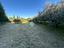 Immagine 12