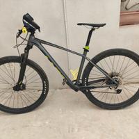 Bici mountain bike
