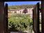 Immagine 22