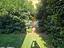 Immagine 14