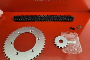 CATENA CORONA PIGNONE BETA 300 450 RR