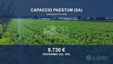 Immobile in asta di 3790 m² a Capaccio Paestum