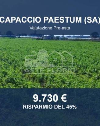 Immobile in asta di 3790 m² a Capaccio Paestum
