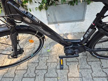 Bicicletta elettrica