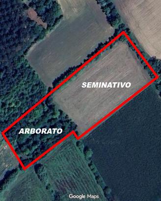Terreno agricolo - Bannia di Fiume Veneto (PN)