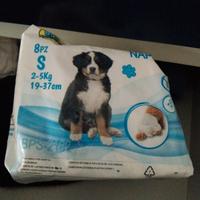 DONO PANNOLINI PER CANI TAGLIA S