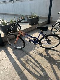 Bicicletta