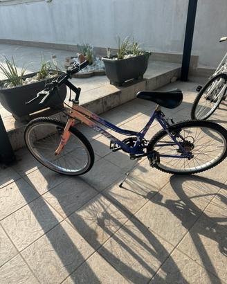 Bicicletta