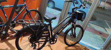 e-bike 