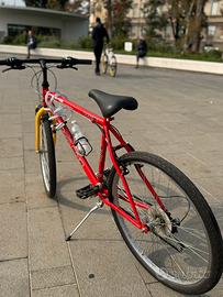Bicicletta uomo