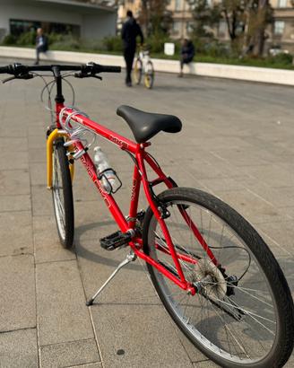 Bicicletta uomo