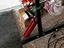 Immagine 6