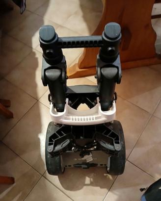 Carrello per il golf