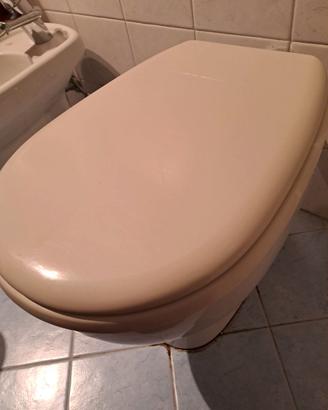 Vaso ideale standard