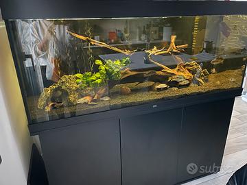 Acquario juwel 450 l