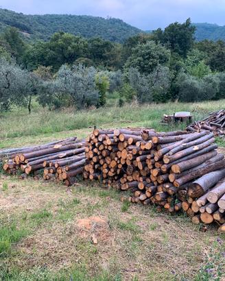 Pali in castagno