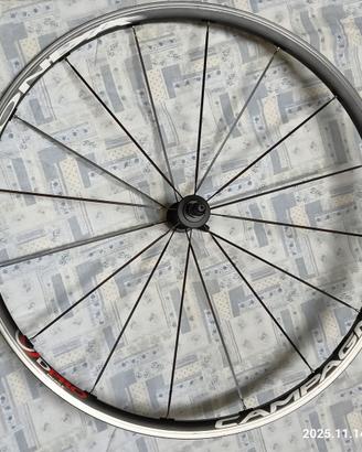 Ruota Campagnolo Zonda DPRO