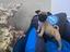 Immagine 1