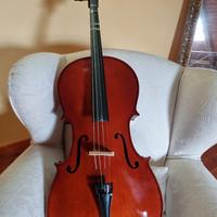 violoncello e custodia 