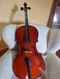 violoncello e custodia 