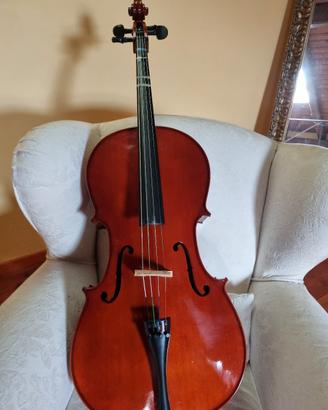 violoncello e custodia 3/4 