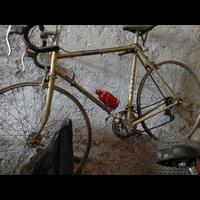 Bicicletta da corsa marca Gimondi 