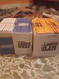 per amanti dei robot 