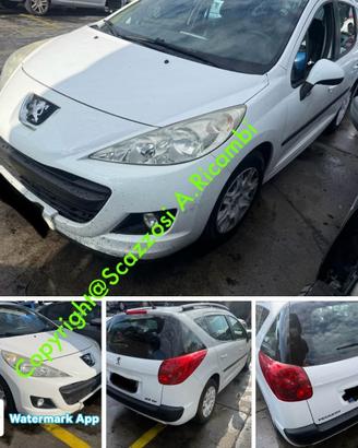 Ricambi vari Peugeot 207 Sw anno 2011 Fi