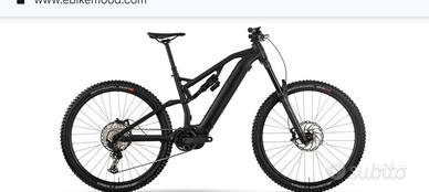 Ebike raymond