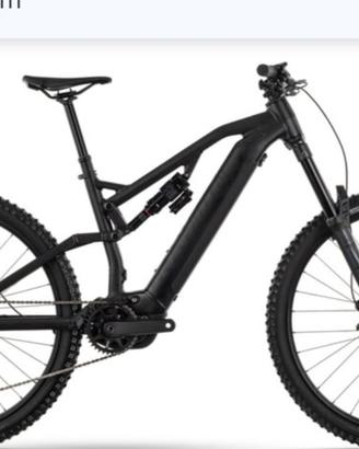 Ebike raymond