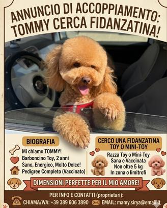 Disponibile per monta