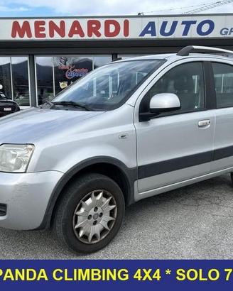 FIAT Panda 1.2 4x4 Climbing