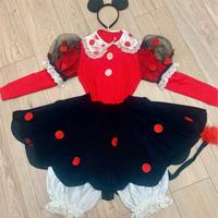 Costume di carnevale Minnie