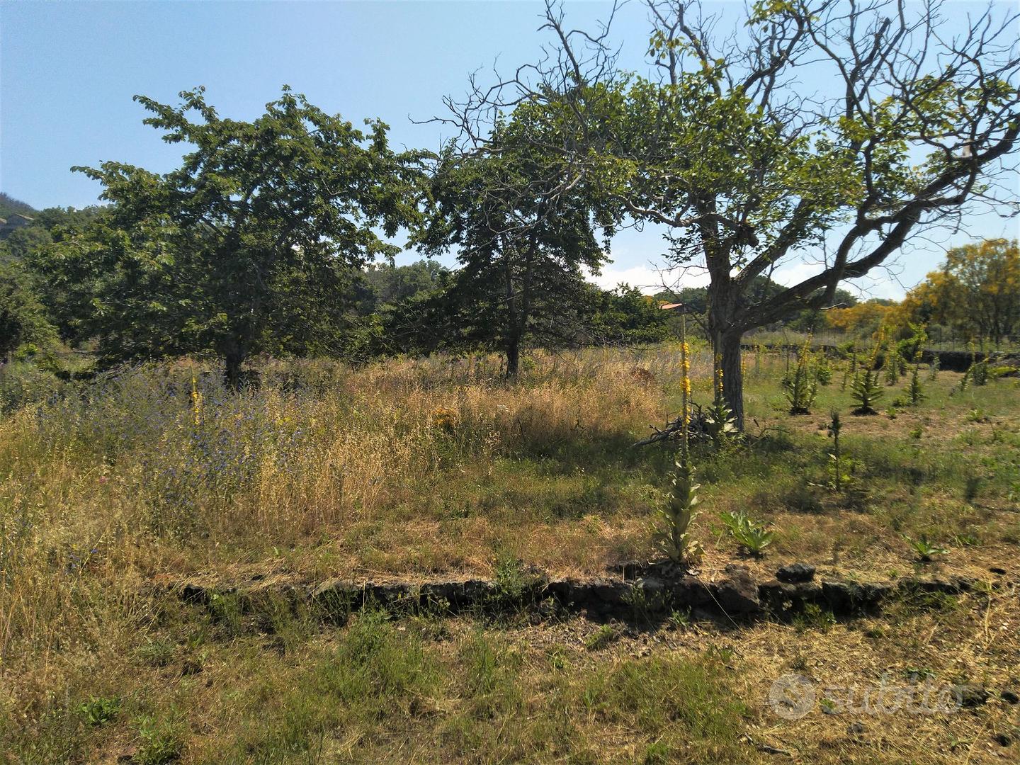 Terreno agricolo in Contrada Monte Marzo - Vista 2