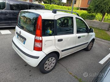 PANDA 1,2 ANNO AGO 2011