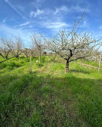 Terreno di 2200 m² a Giugliano in Campania