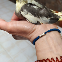 Calopsite allevate a mano