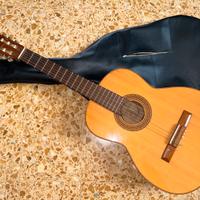 Chitarra Ferrarotti Torino Vintage