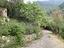 Immagine 23