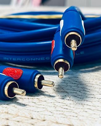 Cavo RCA Skar Audio 5 metri ad Alta Fedeltà