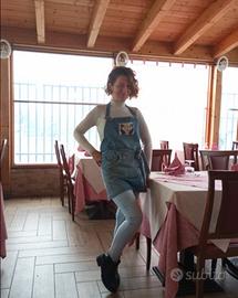 Aiuto cuoco, cameriera ed altro