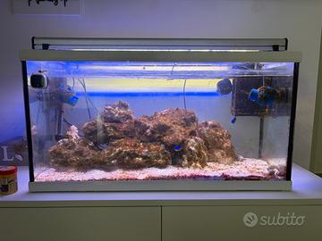 Acquario Marino 100 litri