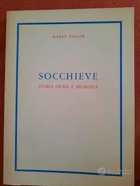 socchieve storia mario toller 1972