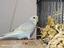 Immagine 6
