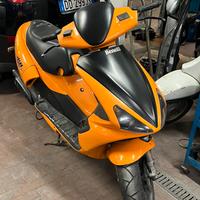 benelli 491 gt sport