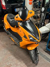 benelli 491 gt sport