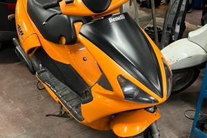 benelli 491 gt sport