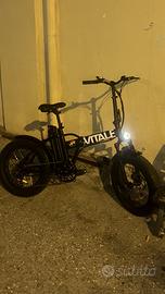 Bici elettrica 250wt